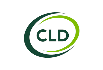 CLD SYSTEMS 