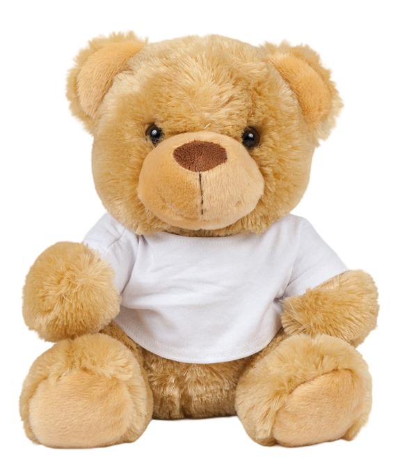Bear in a t-shirt