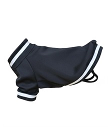 Dog?s varsity jacket