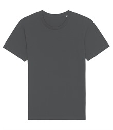 Rocker the essential unisex t-shirt (STTU758)