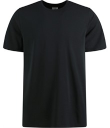 Superwash? 60? piqu? tee (regular fit)