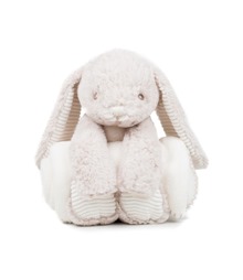 Rabbit and blanket