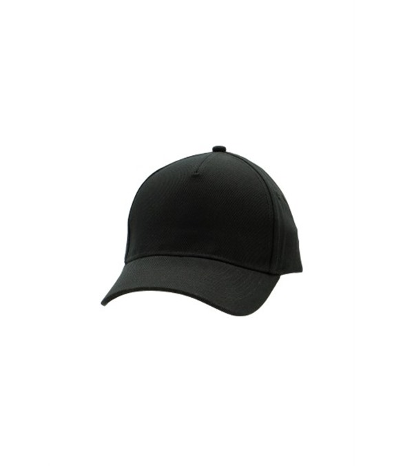 Heavyweight 5 Panel Cap